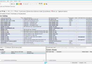 ODATA Services in Fiori