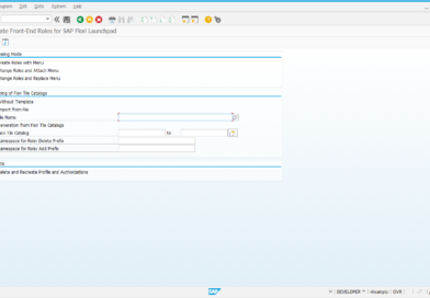 Mass Creation of Fiori Roles