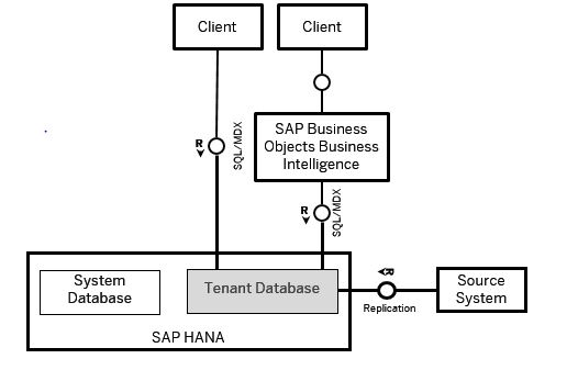 Introduction to the HANA Database